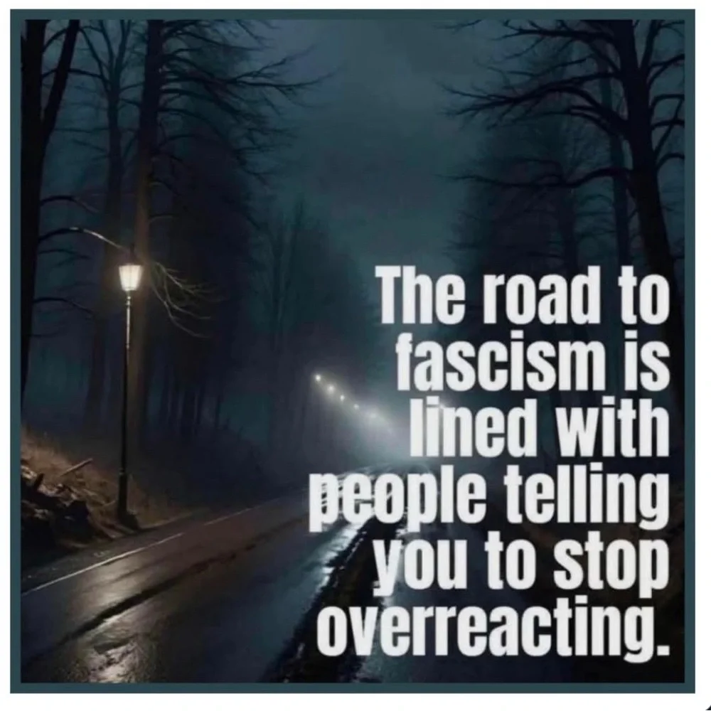 NWT black sheer J.Crew blouse with crepe under Cami cuffed sleeves - Picture 7 of 7